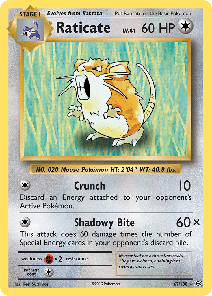 Raticate (Evolutions) - 67/108